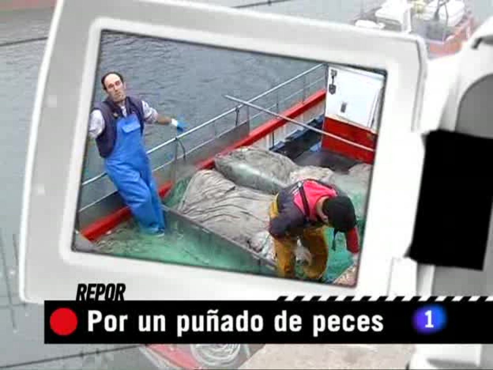 Repor: Por un puñado de peces