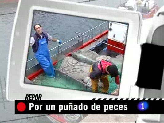 Repor - Por un puñado de peces