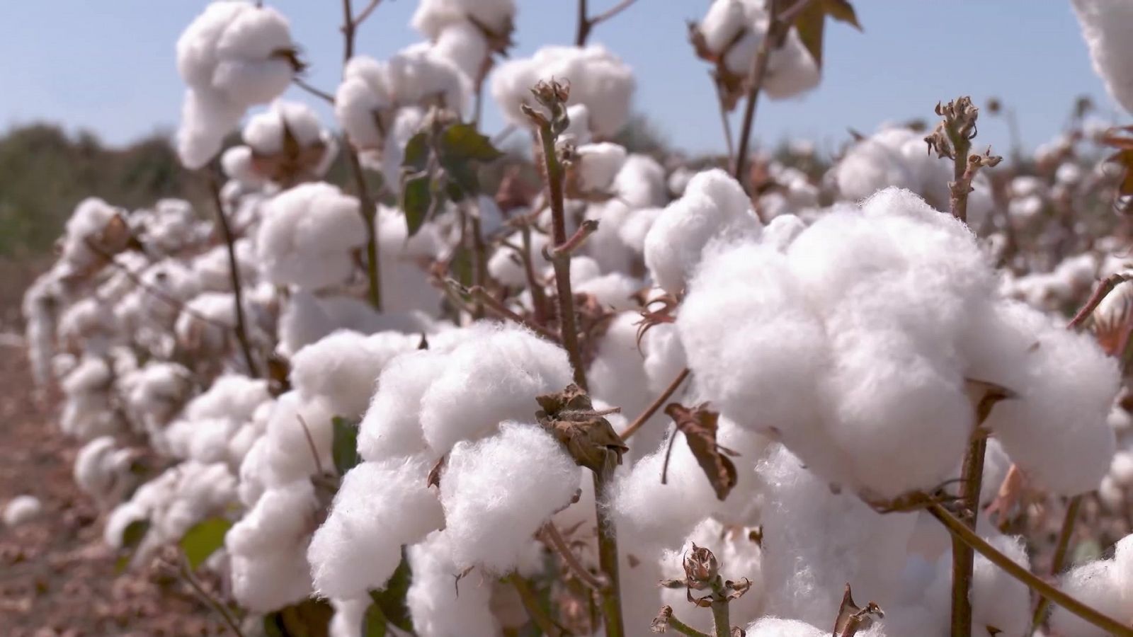 Aquí la Tierra - 19/10/22 - ver ahora