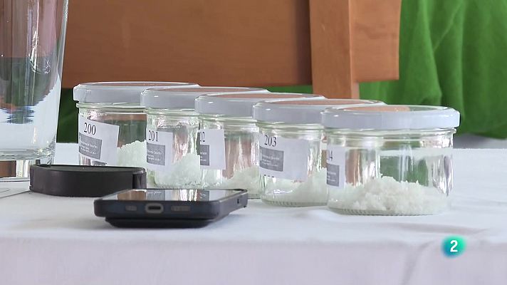 Telecanarias - Telecanarias 2 - 19/10/2022