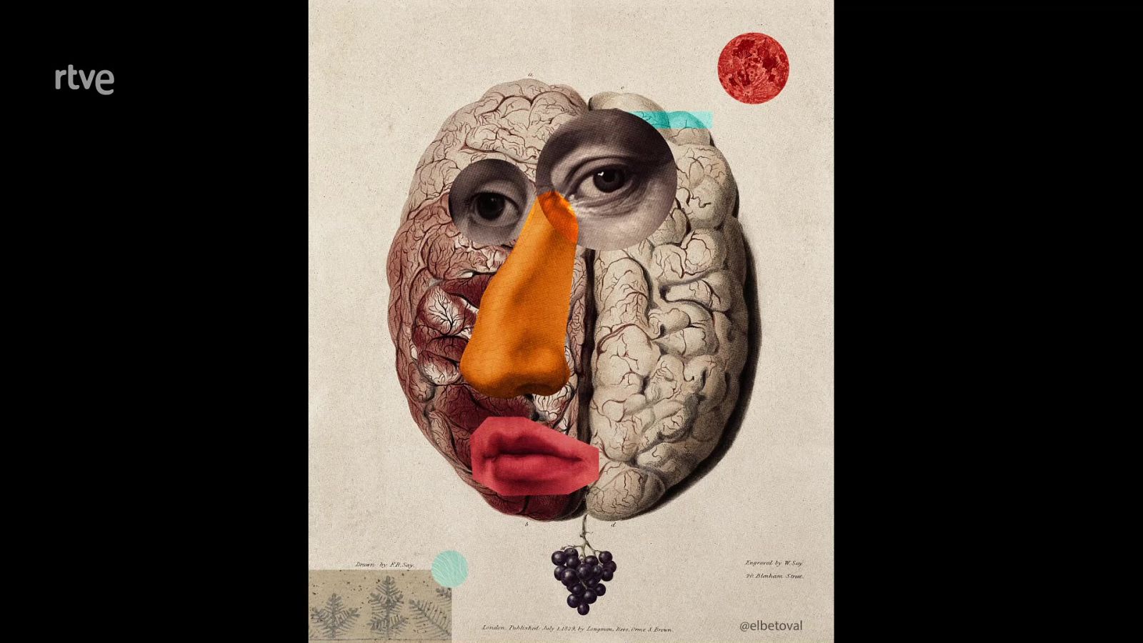 La aventura del saber - 20/10/22 - ver ahora