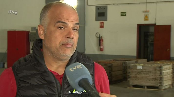 L'Informatiu - José Antonio Fortón, Miralcamp Fruits: "El panorama és alarmant"