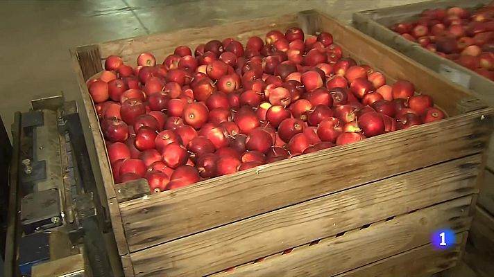 L'Informatiu - L'increment dels costos es mengen els marges de les cooperat