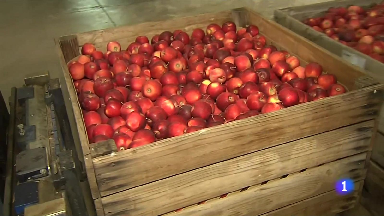 L'increment dels costos es mengen els marges de les cooperatives agràries