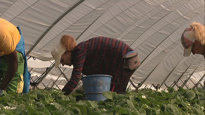 Brecha de género en el mundo laboral