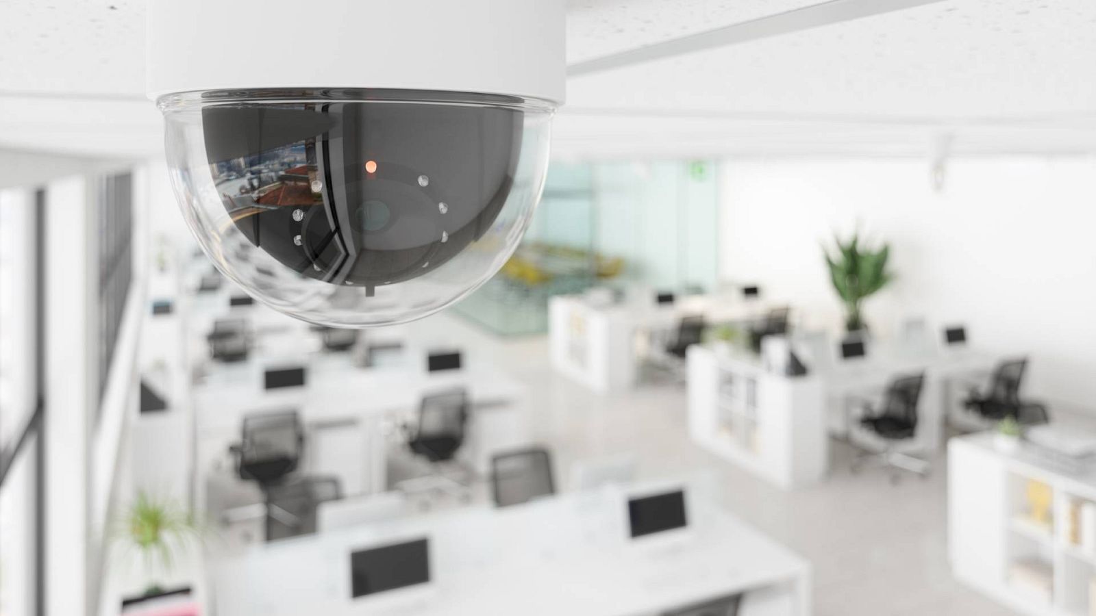 El TC avala el despido a un empleado tras ser grabado robando