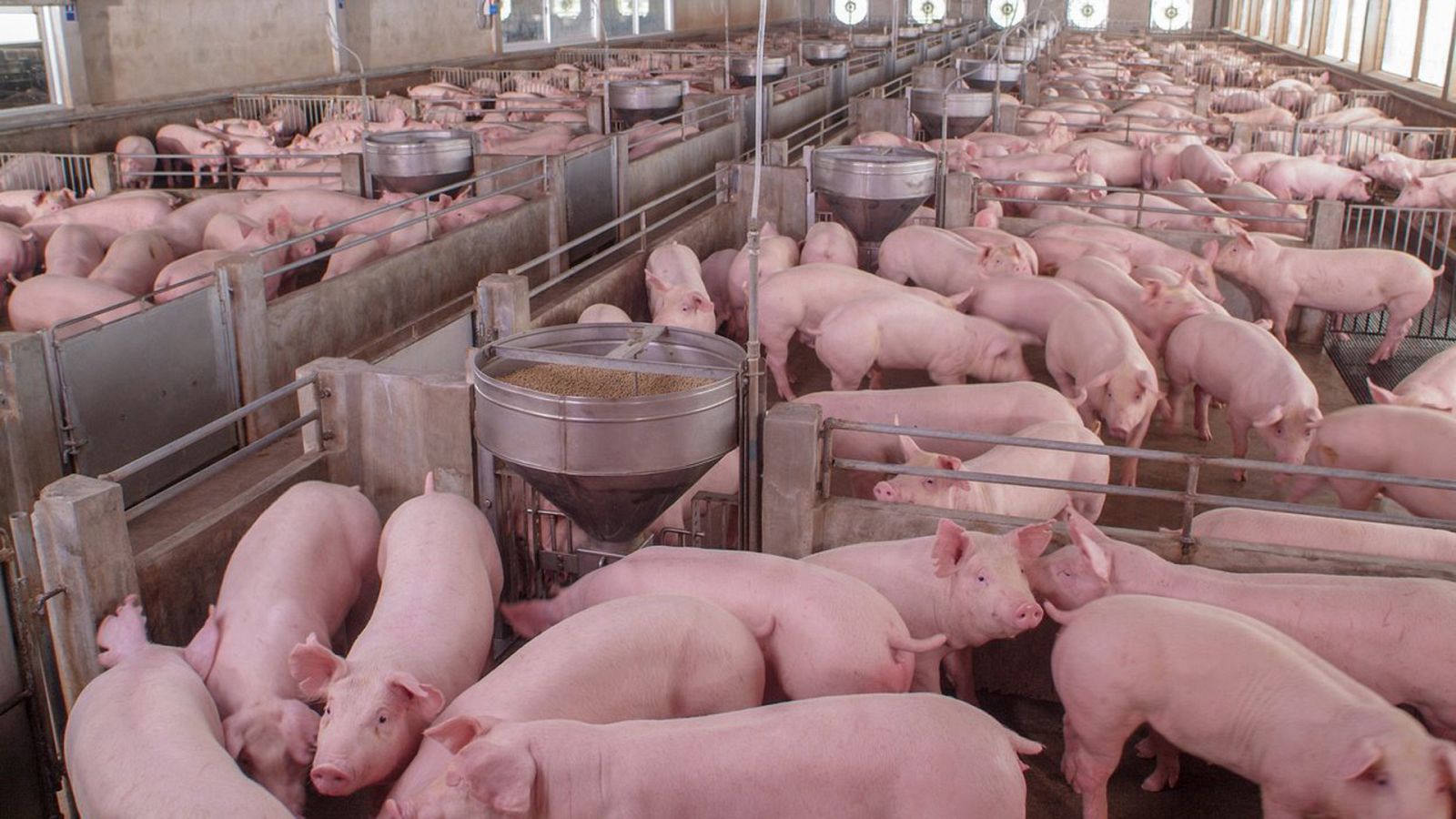 Para todos La 2 - 22/10/22 - ver ahora