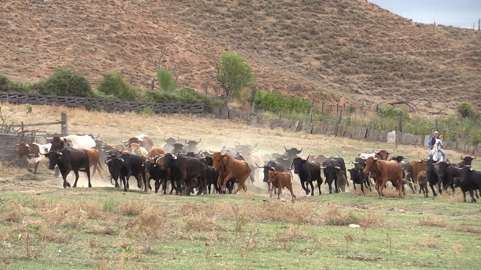 Tendido cero - 22/10/22 - ver ahora