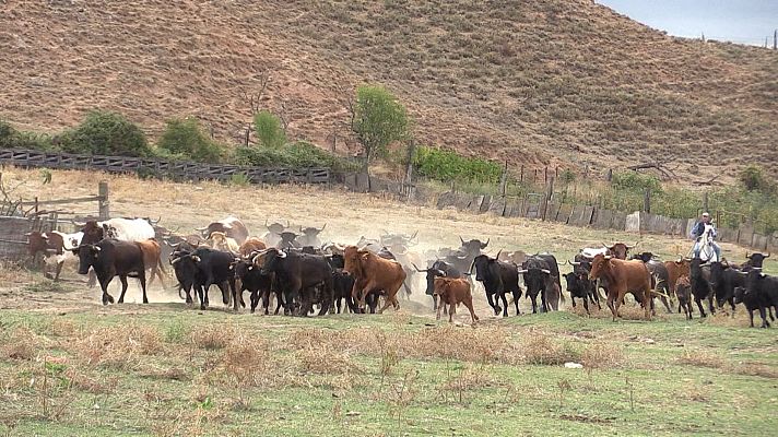 Tendido cero - Tendido cero - 22/10/22