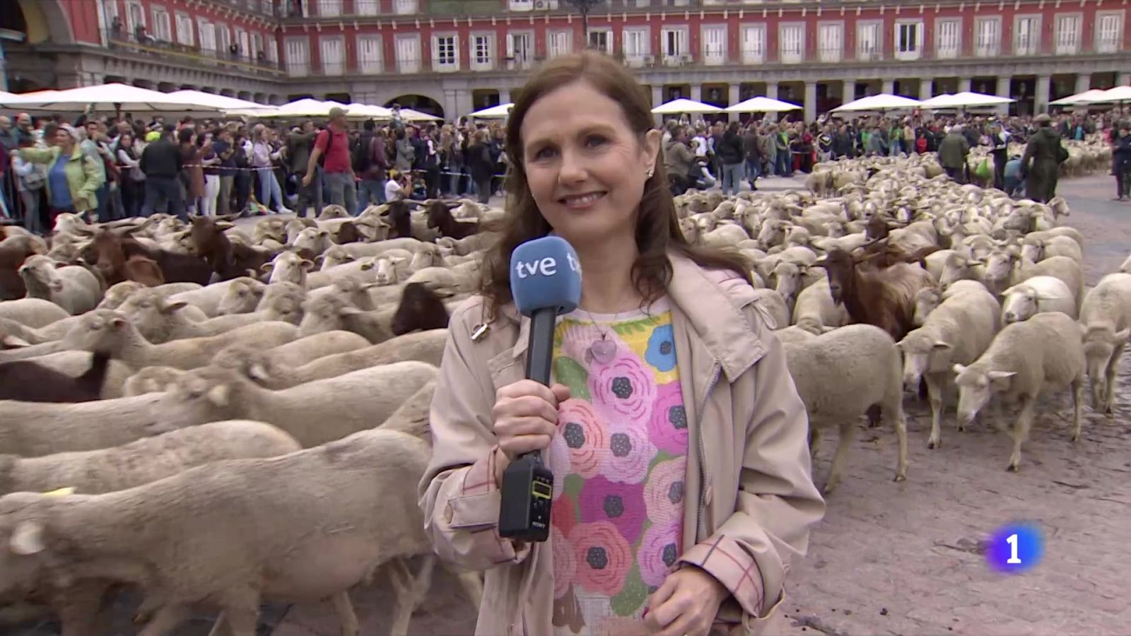 Fiesta de la trashumancia en Madrid ¿ RTVE.es