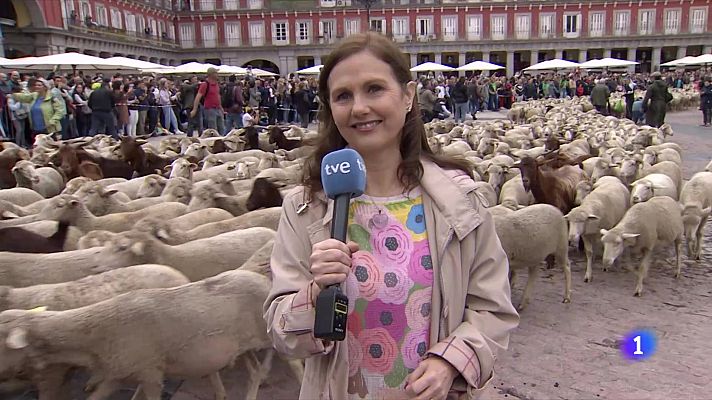 Telediario 1 - Fiesta de la trashumancia en Madrid