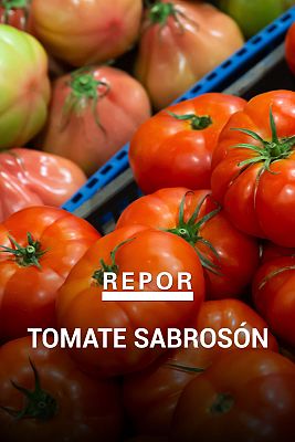 Repor - Tomate sabrosón