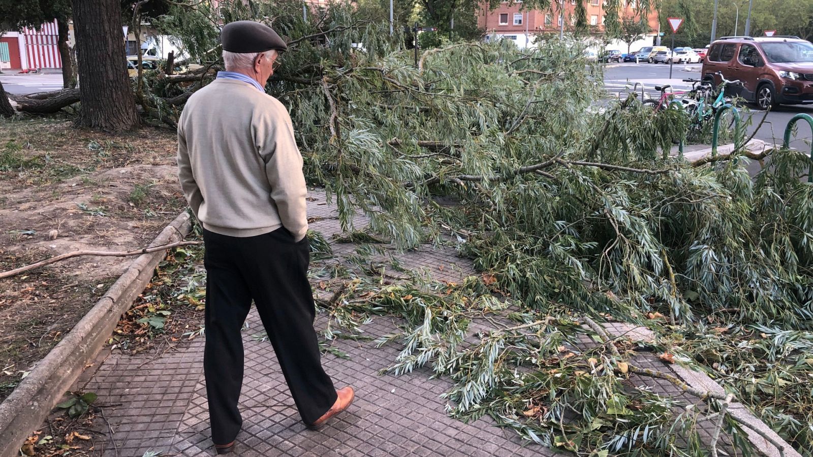 El viento y la lluvia de la borrasca Béatrice dejan cientos de incidencias