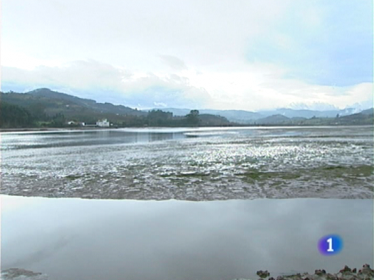 Panorama Regional - Panorama regional - 18/01/10