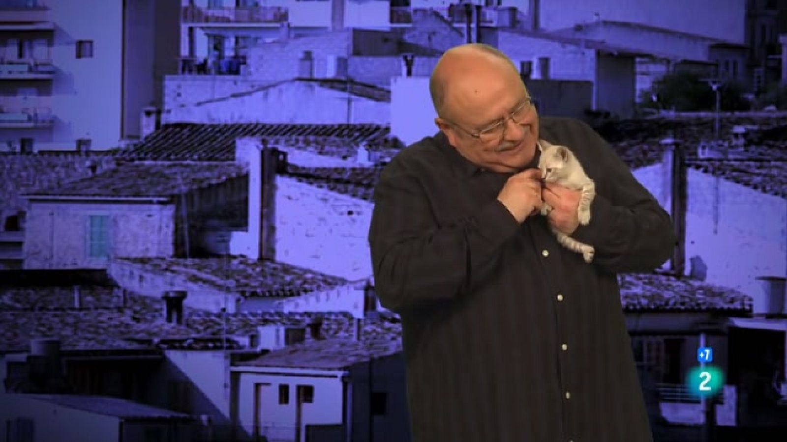 Calidoscopi - Gats - Veure ara