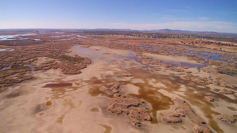 XIII Concurso de Cortos RNE - �Alerta! - Ver ahora