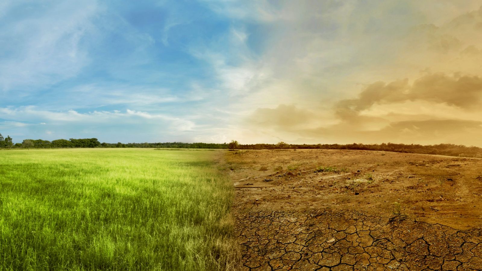 Cambio climático: El verano le gana terreno a la primavera