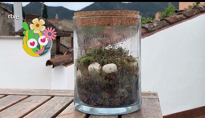 Va de verd - Jardí etern