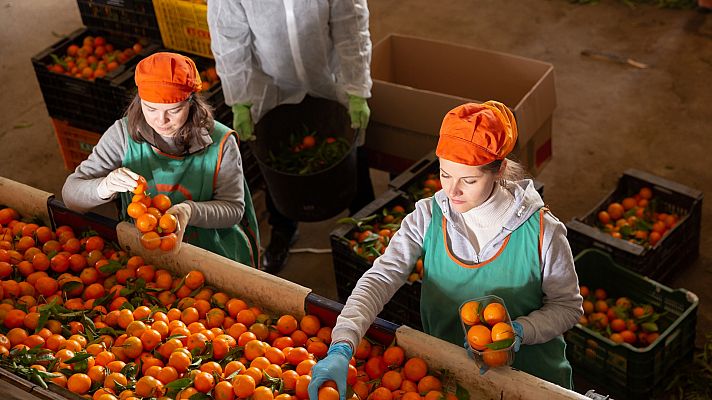 Telediario 1 - Las cooperativas, contra las cuerdas por los elevados costes de energía