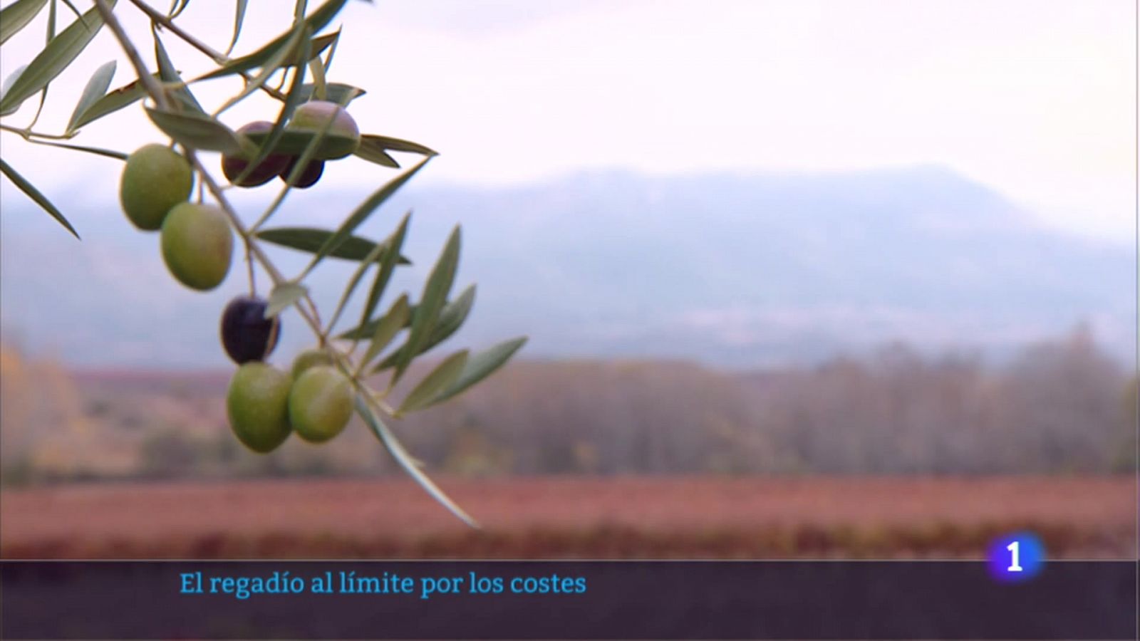 Informativo Telerioja  - 25/10/22 - RTVE.es