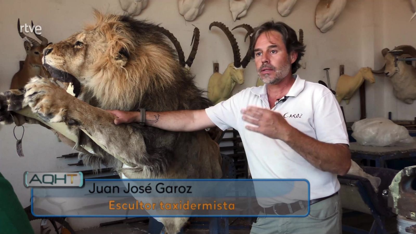 Aquí hay trabajo - La capital mundial de la taxidermia - ver ahora