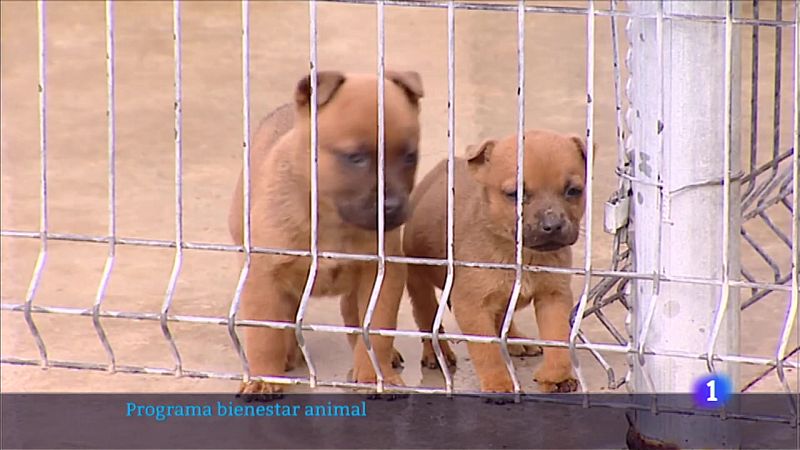 Telerioja en 2' - 27/10/22 - Ver ahora