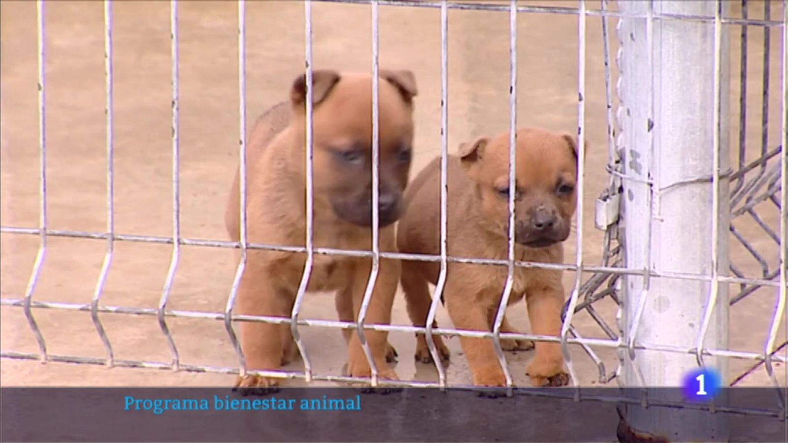 Informativo Telerioja 2 - 27/10/22 - Ver ahora