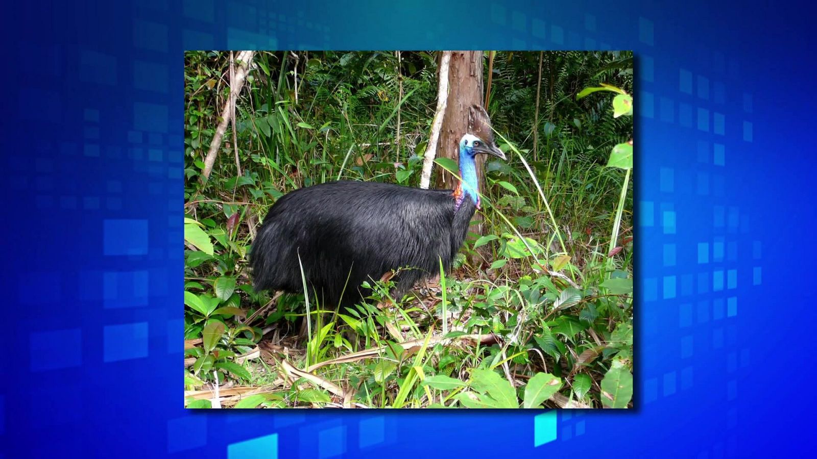 Saber y ganar - 27/10/22 - ver ahora
