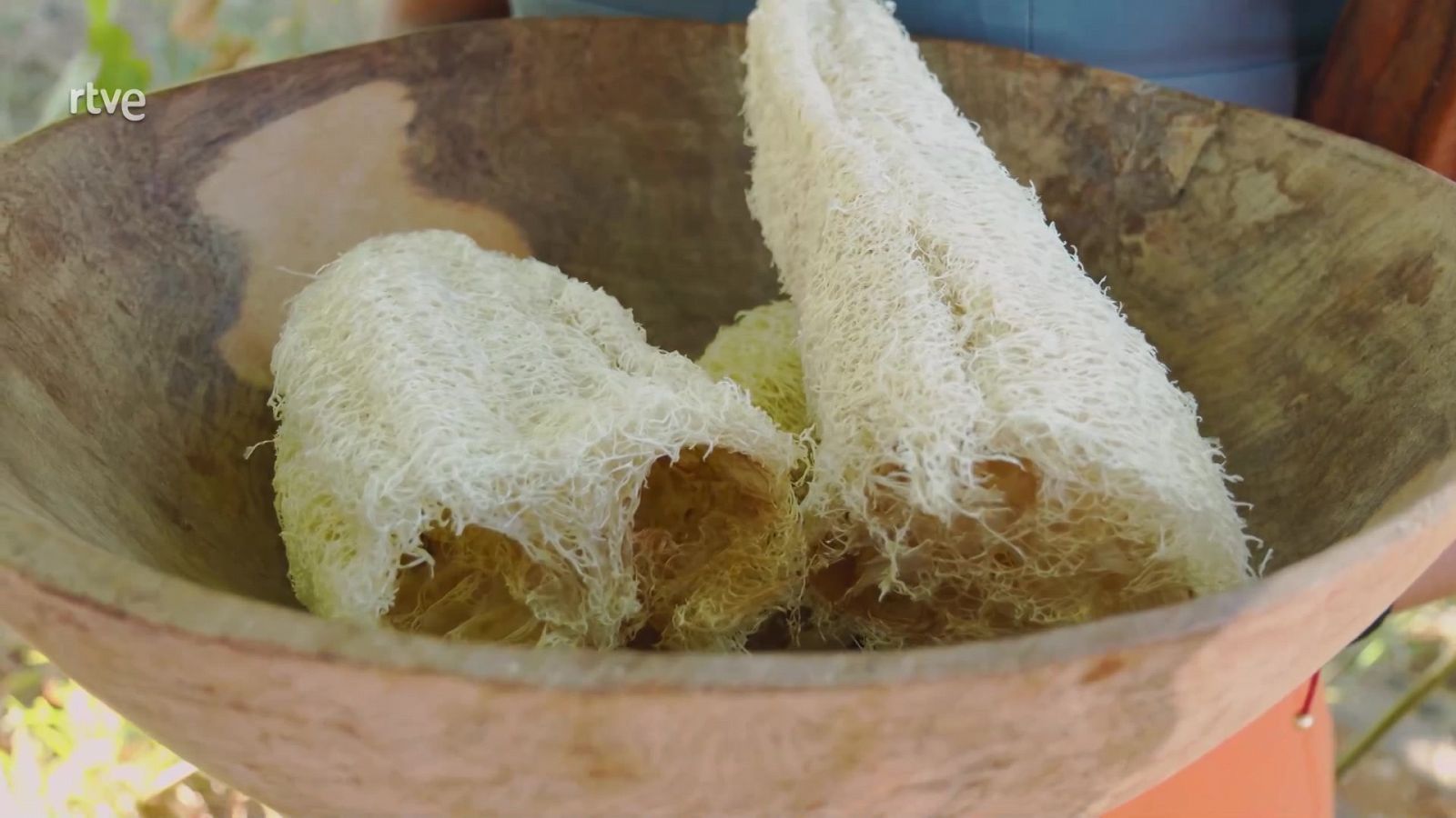 ¿Qué es la luffa esponja?