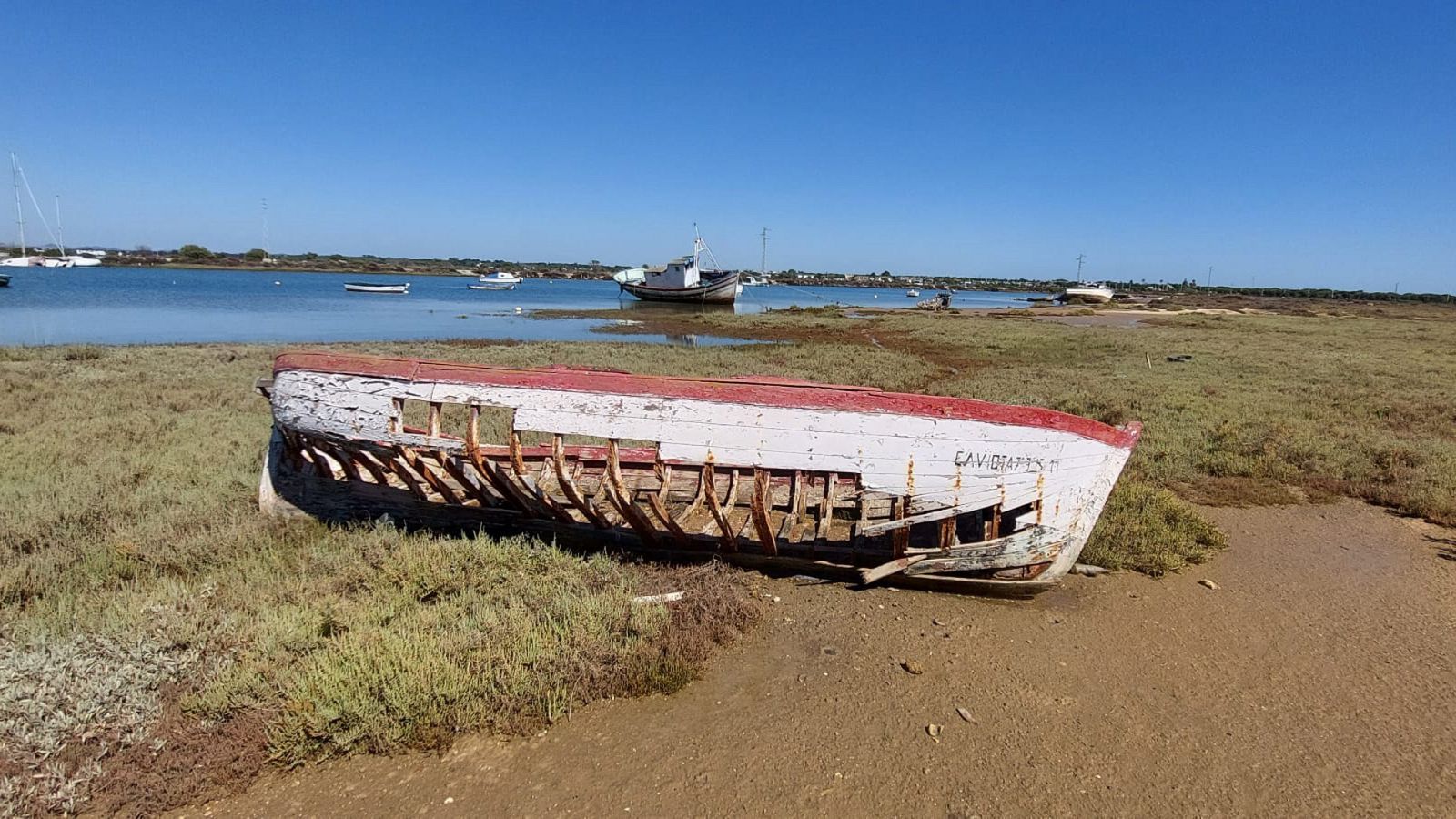 El escarabajo verde - Océanos 3: La eterna reserva - ver ahora