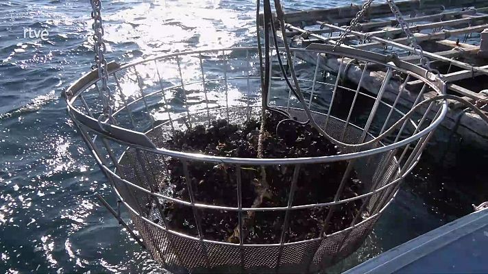 Aquí la Tierra - Aquí la Tierra - 28/10/22