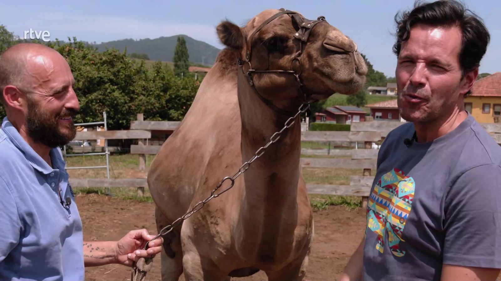 Aquí la Tierra - 30/10/22 - ver ahora