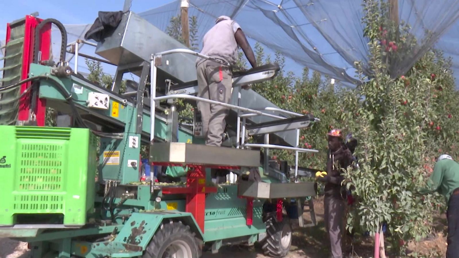 Aquí hay trabajo - 31/10/22 - ver ahora