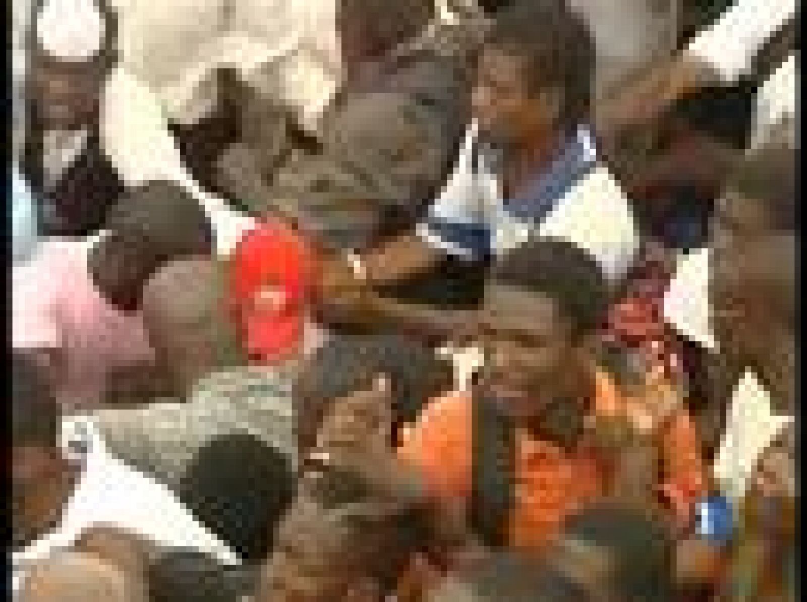 Empieza a repartirse la ayuda a los afectados por el terremoto en Haití | Ver