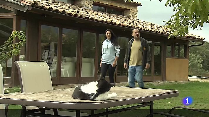 L'Informatiu - L'Informatiu 2 - 31/10/2022