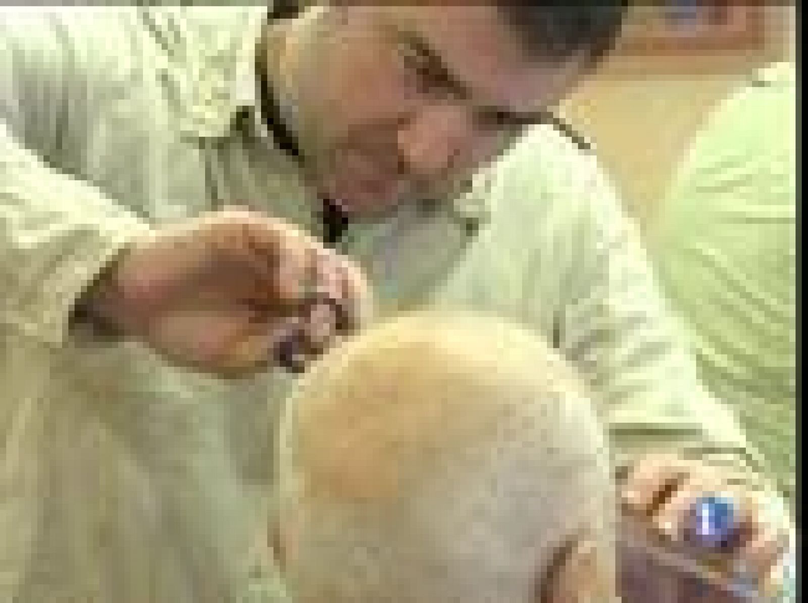 Cortarse el pelo oyendo música se complica en algunas peluquerías catalanas | Ver