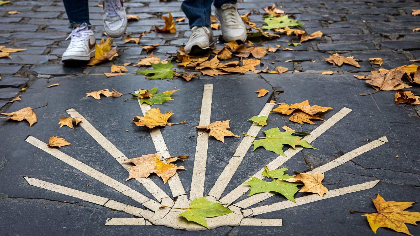 Bajada de mínimas en casi todo el país y viento fuerte en Galicia