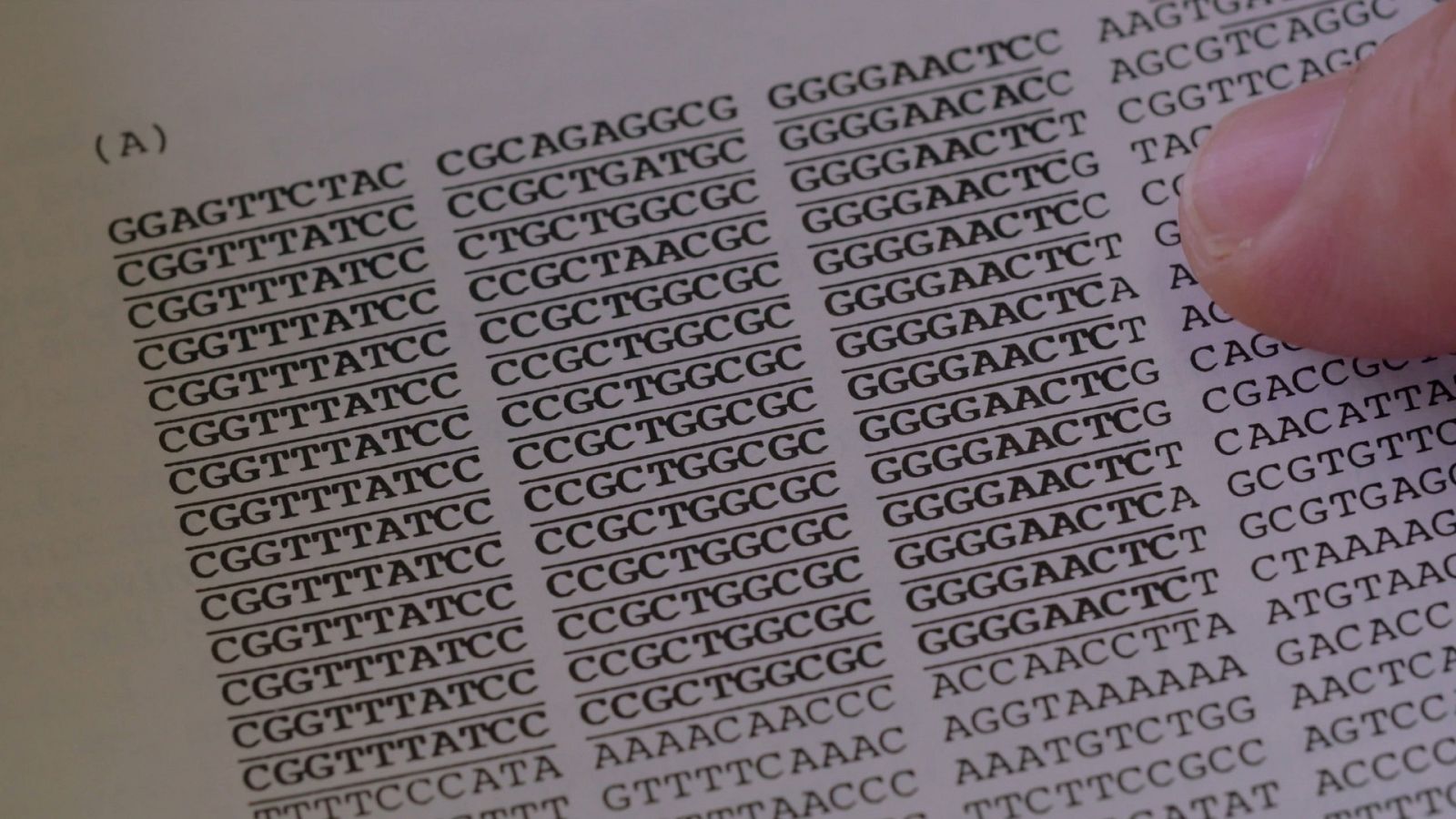La noche temática - Naturaleza humana - Ver ahora