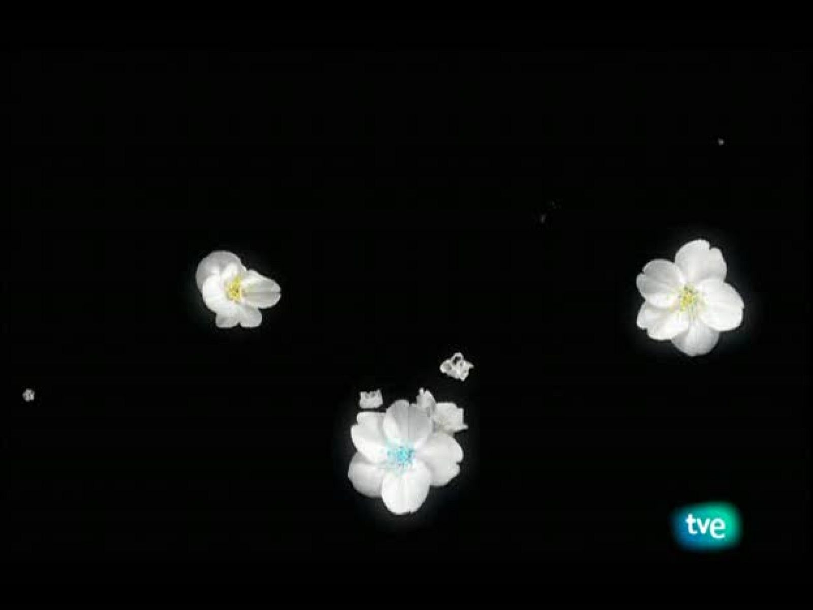 Where is upsy daisy? - El Jardín de los Sueños en inglés | Watch