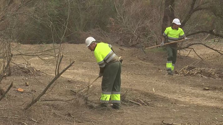 Preocupados por la sequía en Doñana