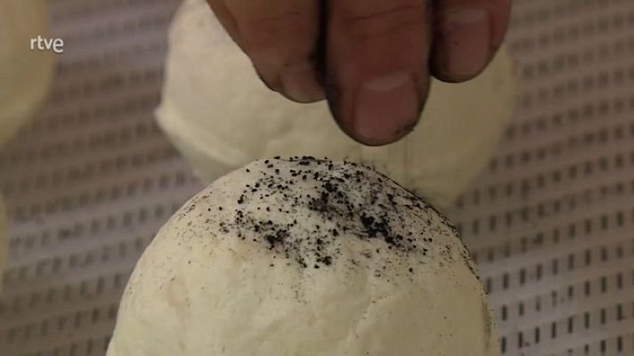 Aquí hay trabajo - Lo que resurge de las cenizas