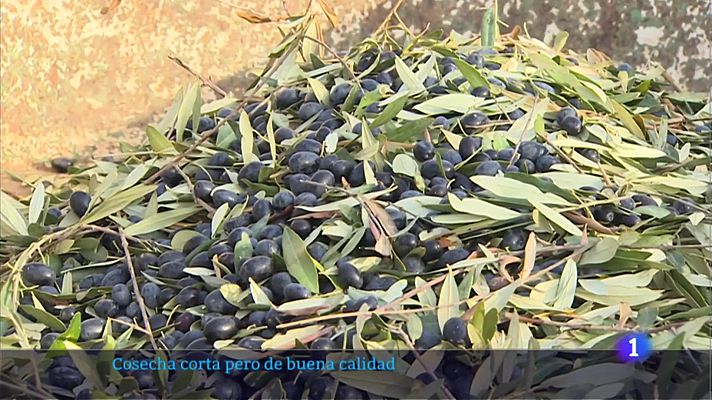 Informativo Telerioja - Telerioja en 2' - 04/11/22