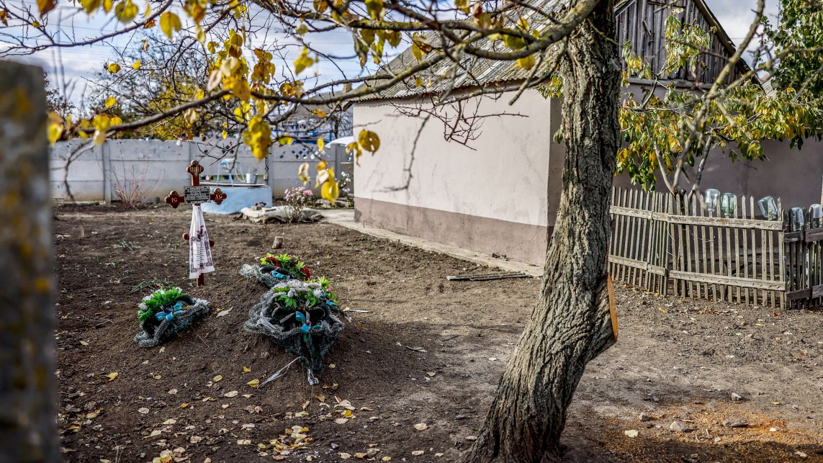 La tarde en 24 horas - 04/11/22 (2) - ver ahora