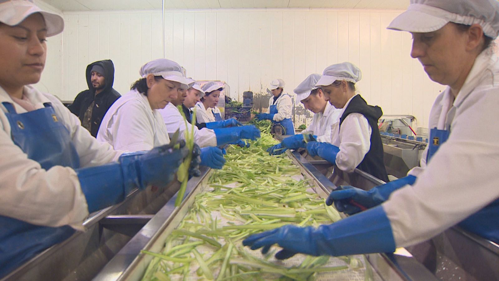 Agrosfera - 05/11/22 - ver ahora