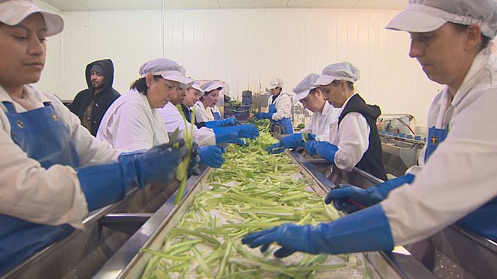 Agrosfera - Agrosfera - 05/11/22