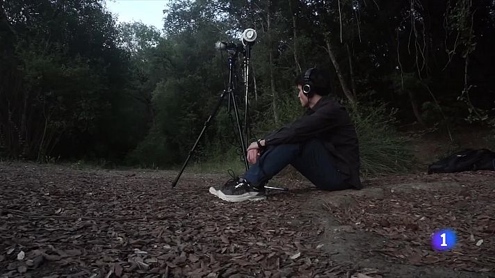 L'Informatiu - Preservar els sons de la natura