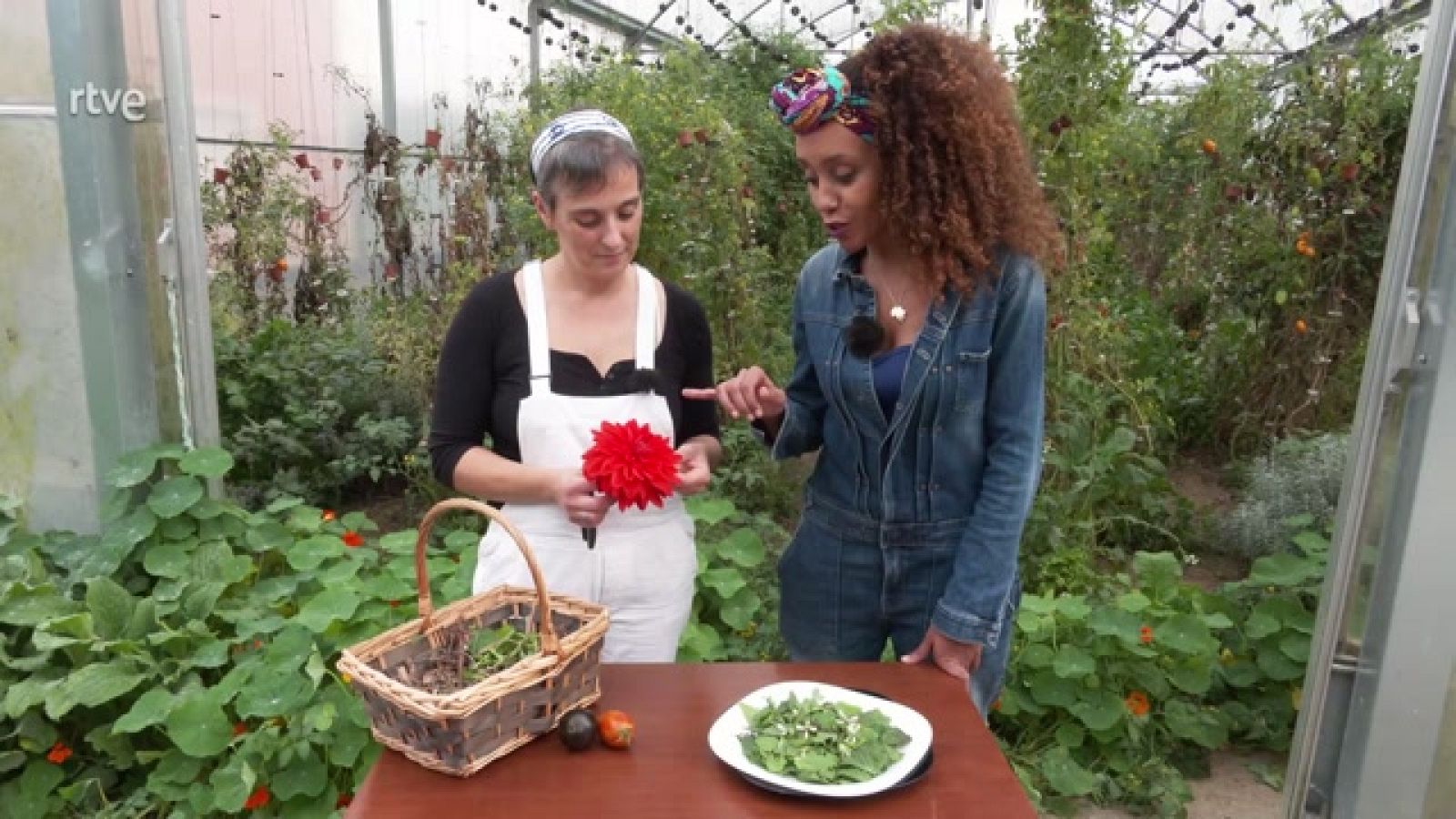 Aquí la Tierra - 06/11/22 - ver ahora