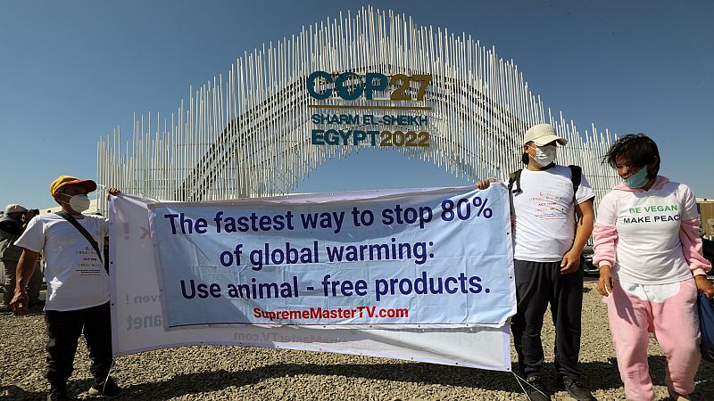 HRW denuncia que Egipto ha restringido el derecho a la protesta en los días previos a la COP27