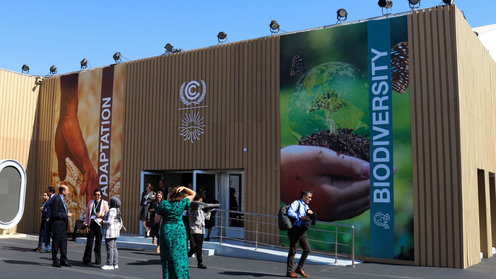 Diario 24 - 07/11/22 (1) - ver ahora