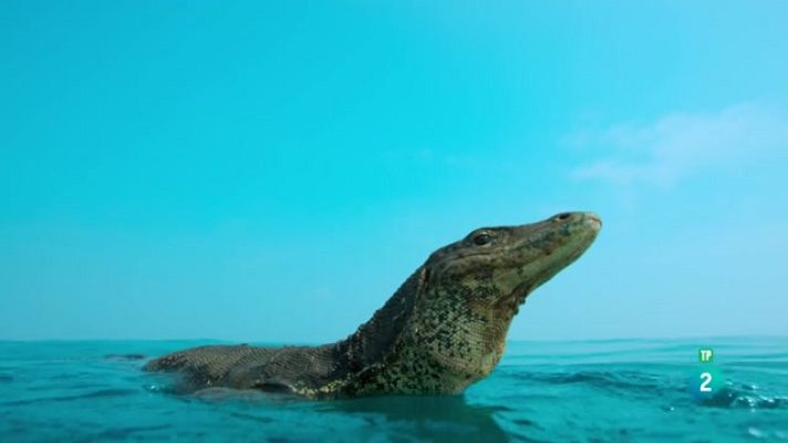 Som Documentals - Illes en el temps - Nascuts del foc